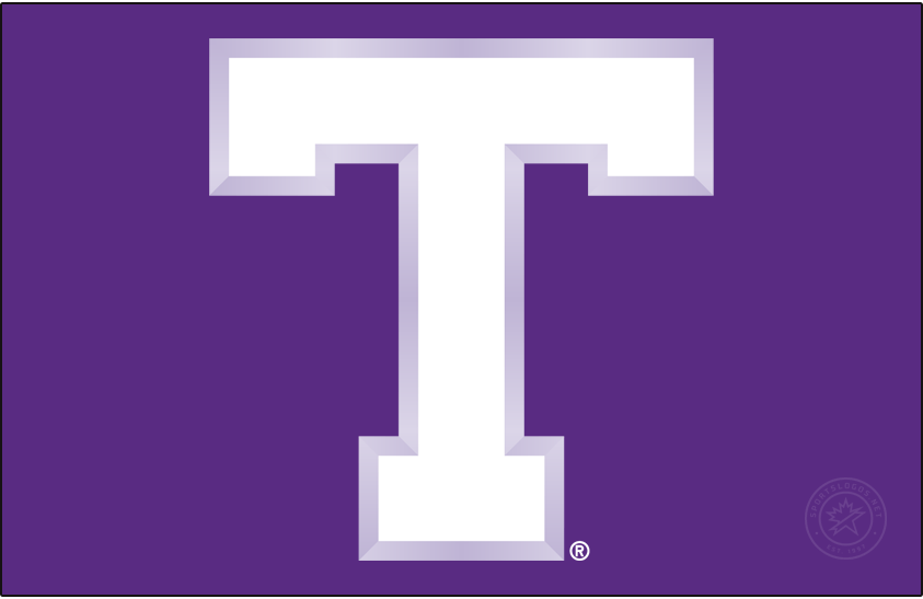 Tarleton Texans 2005-2018 Primary Dark Logo diy DTF decal sticker